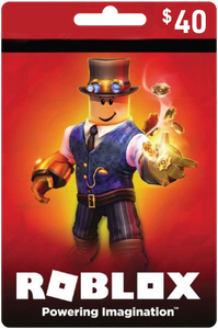 Roblox $40 USA